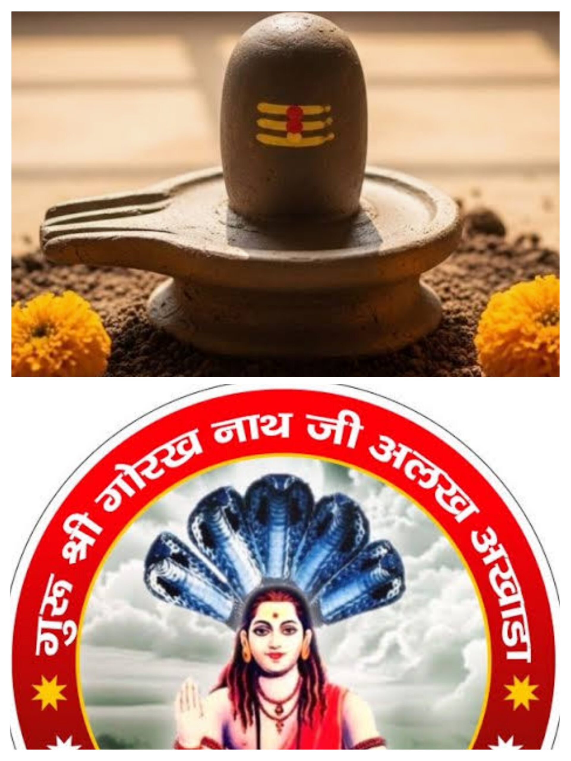 सावन मास की शिवरात्रि पर शुभ मुहूर्त में जल चढ़ाने का विशेष महत्व है: श्री संजीवन नाथ जी महाराज